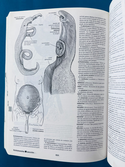 Harper collins de bolsillo ilustrado diccionario médico