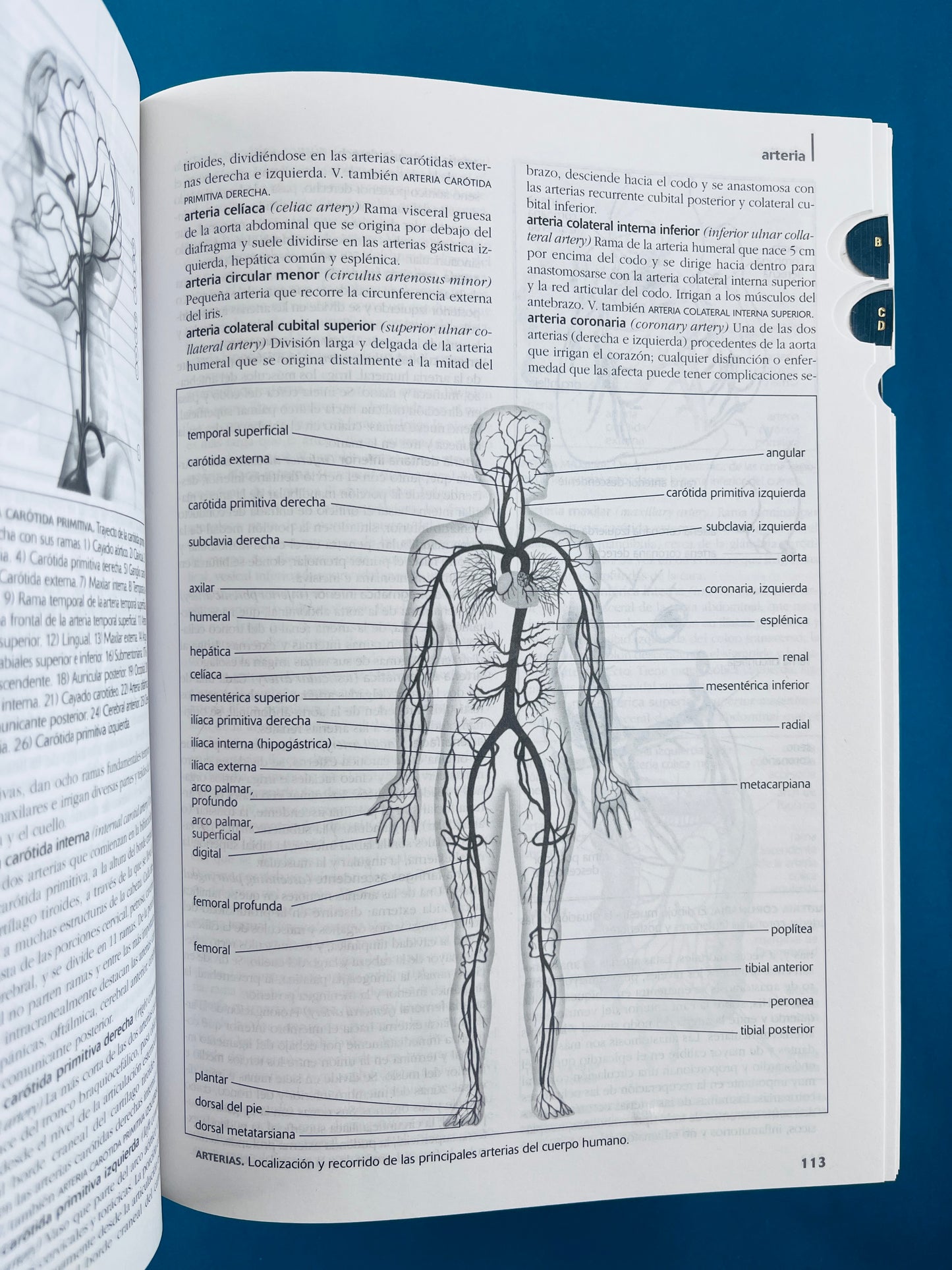 Diccionario de medicina Océano Mosby