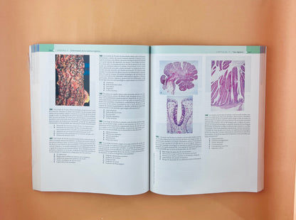 Robbins y Cotran repaso de anatomía patológica preguntas y respuestas cuarta edición