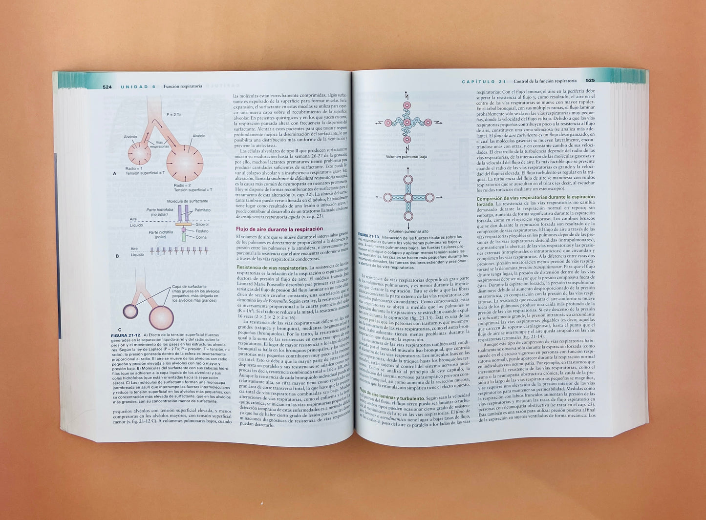 Fundamentos de fisiopatología tercera edición