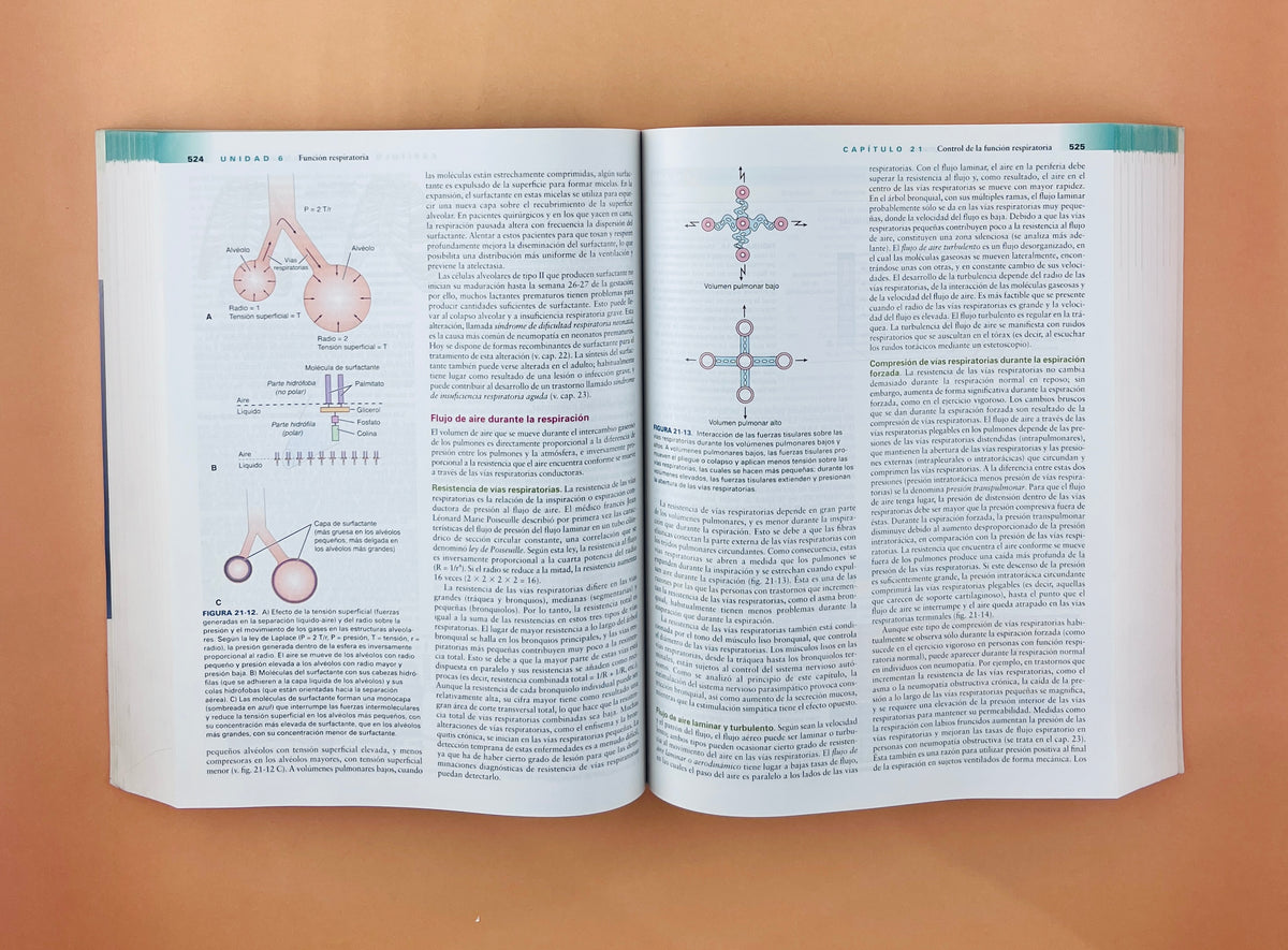 Fundamentos de fisiopatología tercera edición by Carol Mattson Porth