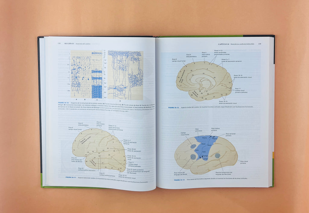 Lange Neuroanatomía clínica 26a edicion by Sthepen G. Waxman