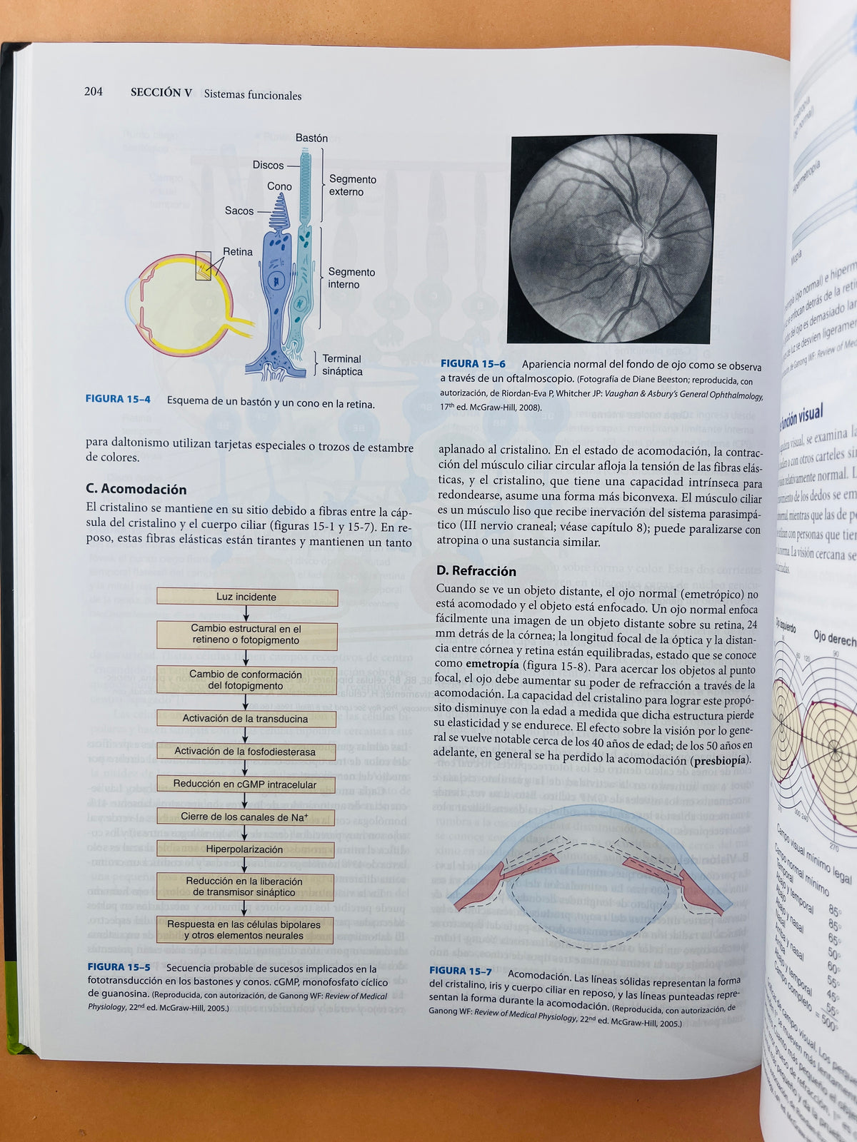 Lange Neuroanatomía clínica 26a edicion by Sthepen G. Waxman