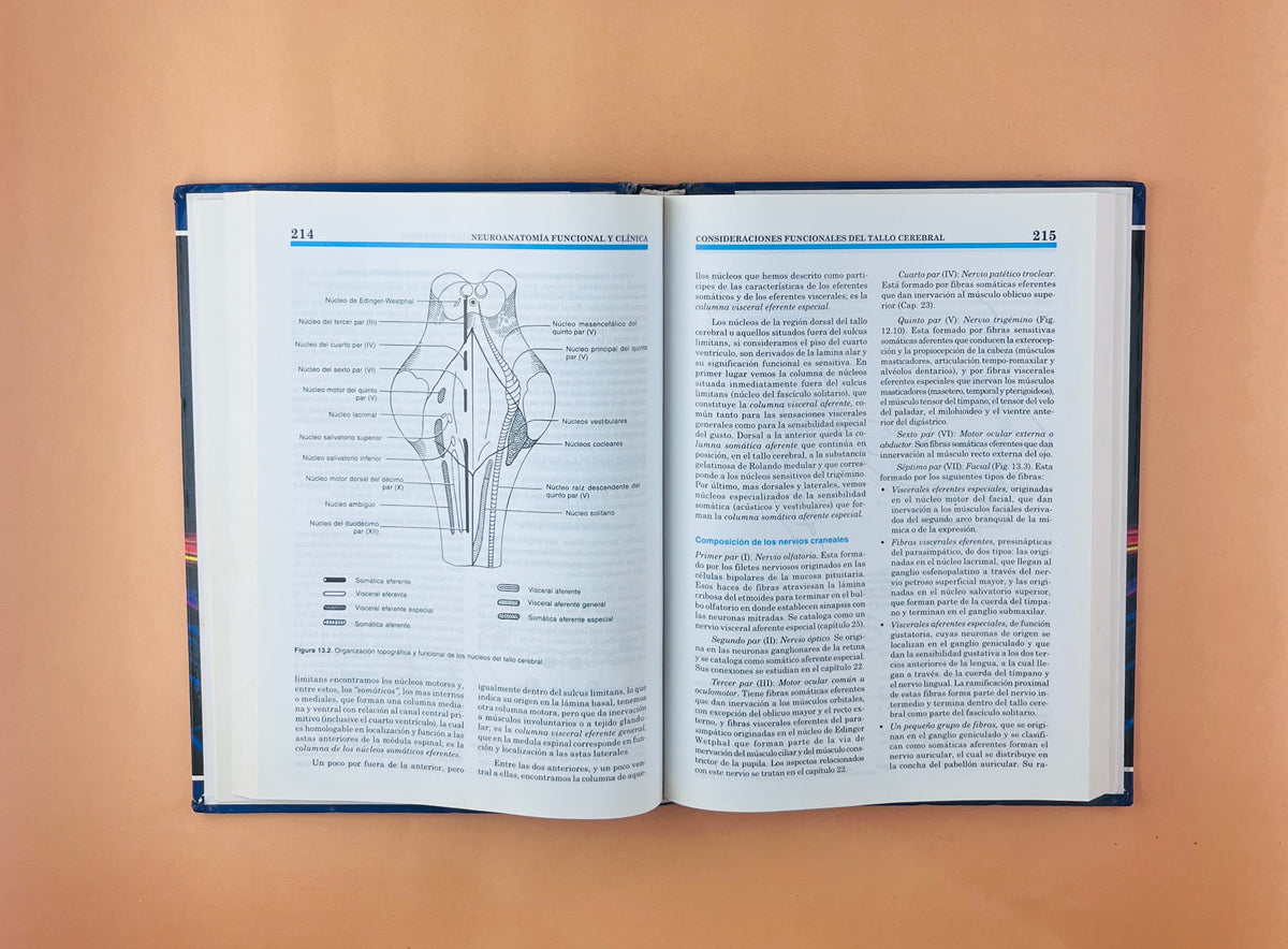 Neuroanatomía funcional y clínica atlas del sistema nervioso central cuarta edición by Jairo Bustamante B.