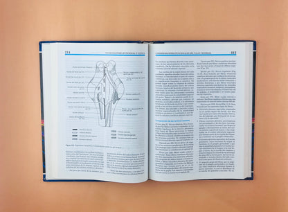 Neuroanatomía funcional y clínica atlas del sistema nervioso central cuarta edición