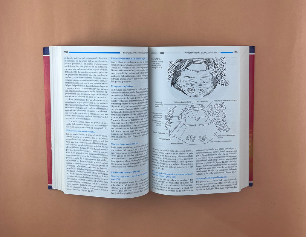 Neuroanatomía funcional y clínica quinta edición by Jairo Bustamante