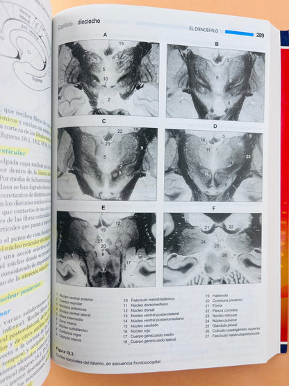 Neuroanatomía funcional y clínica quinta edición