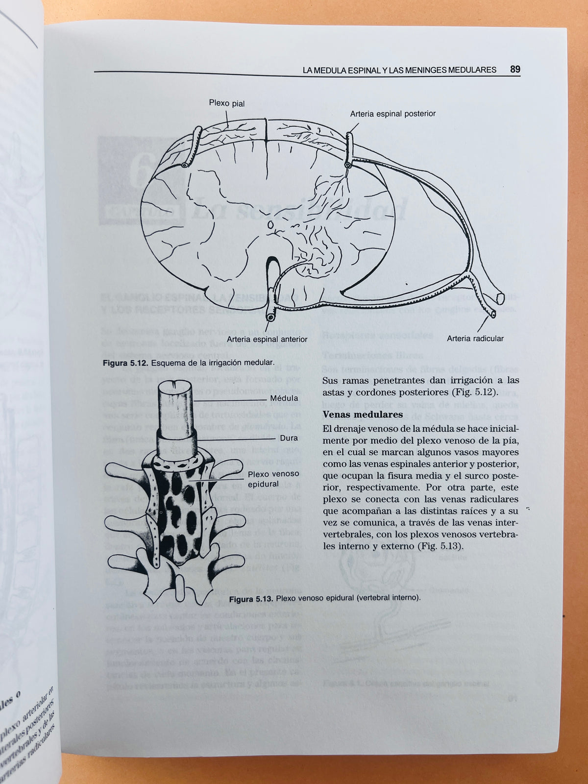Neuroanatomía funcional y clínica atlas del sistema nervioso central tercera edición by Jairo Bustamante B.