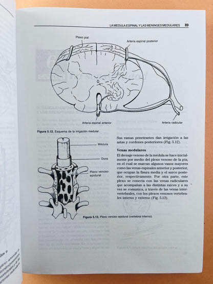 Neuroanatomía funcional y clínica atlas del sistema nervioso central tercera edición