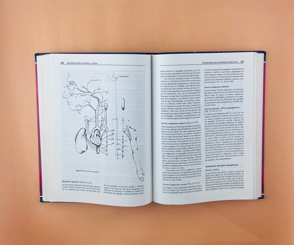 Neuroanatomía funcional y clínica atlas del sistema nervioso central tercera edición by Jairo Bustamante B.