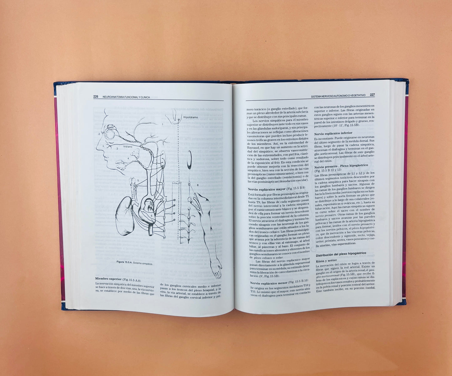 Neuroanatomía funcional y clínica atlas del sistema nervioso central tercera edición
