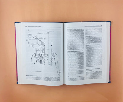Neuroanatomía funcional y clínica atlas del sistema nervioso central tercera edición