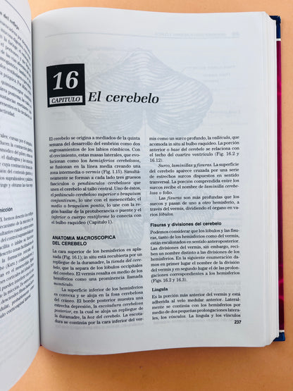 Neuroanatomía funcional y clínica atlas del sistema nervioso central tercera edición