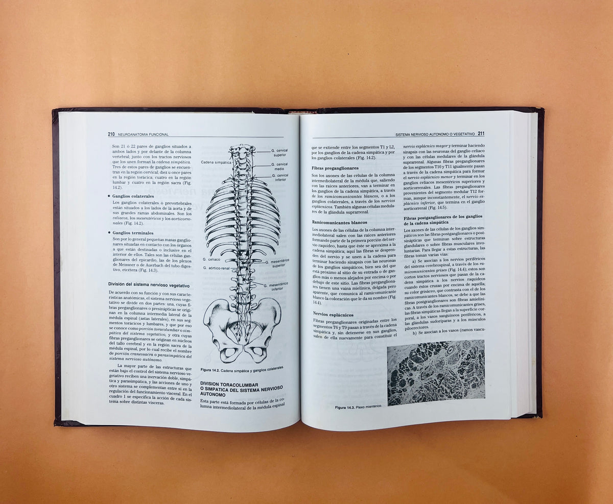 Neuroanatomía funcional segunda edición by Jairo Bustamante B.
