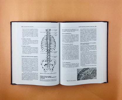 Neuroanatomía funcional segunda edición