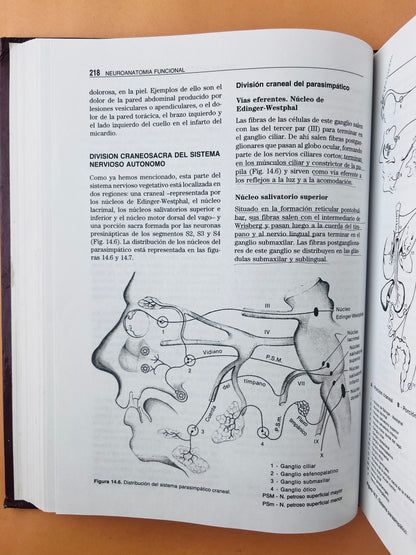 Neuroanatomía funcional segunda edición