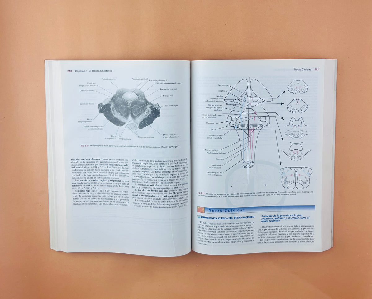 Neuroanatomía clínica 5ta by Snell