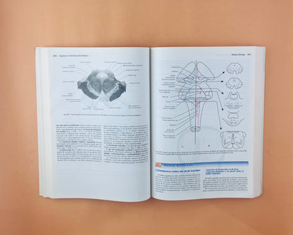 Neuroanatomía clínica 5ta