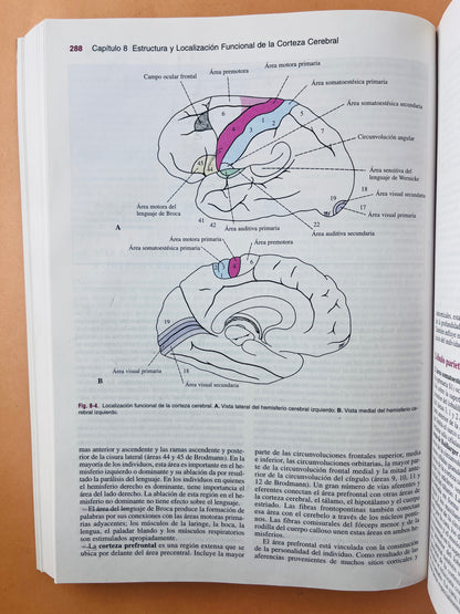 Neuroanatomía clínica 5ta