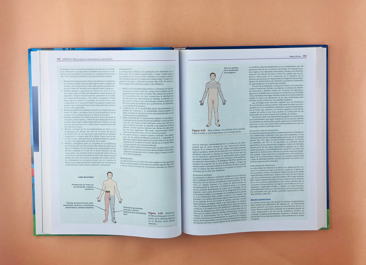 Neuroanatomía Clínica 7a edición by Richard S. Snell