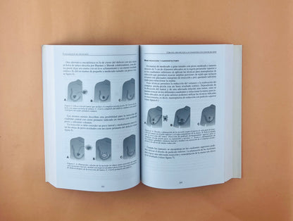 Fundamentos de oncología