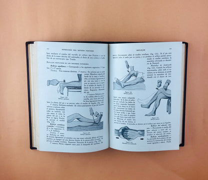 Sistema nervioso cuarta edición