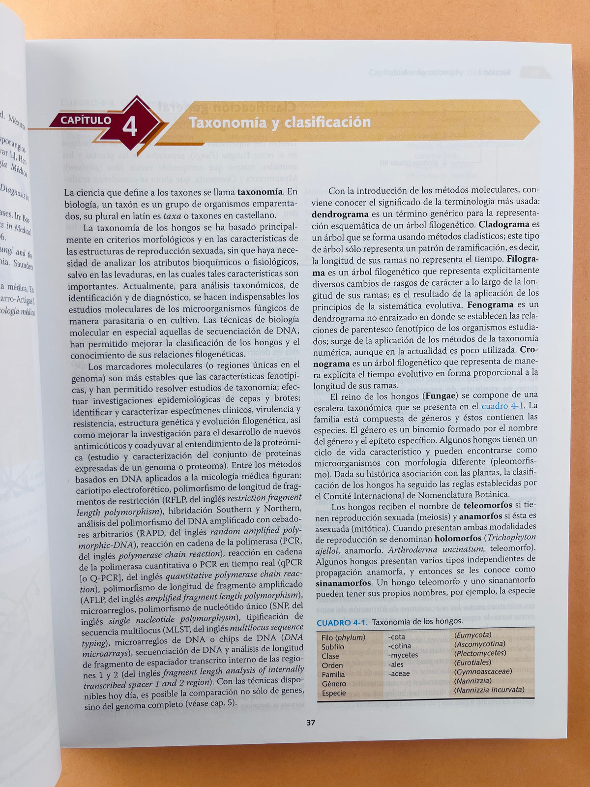 Micología médica ilustrada quinta edición by Roberto Arenas