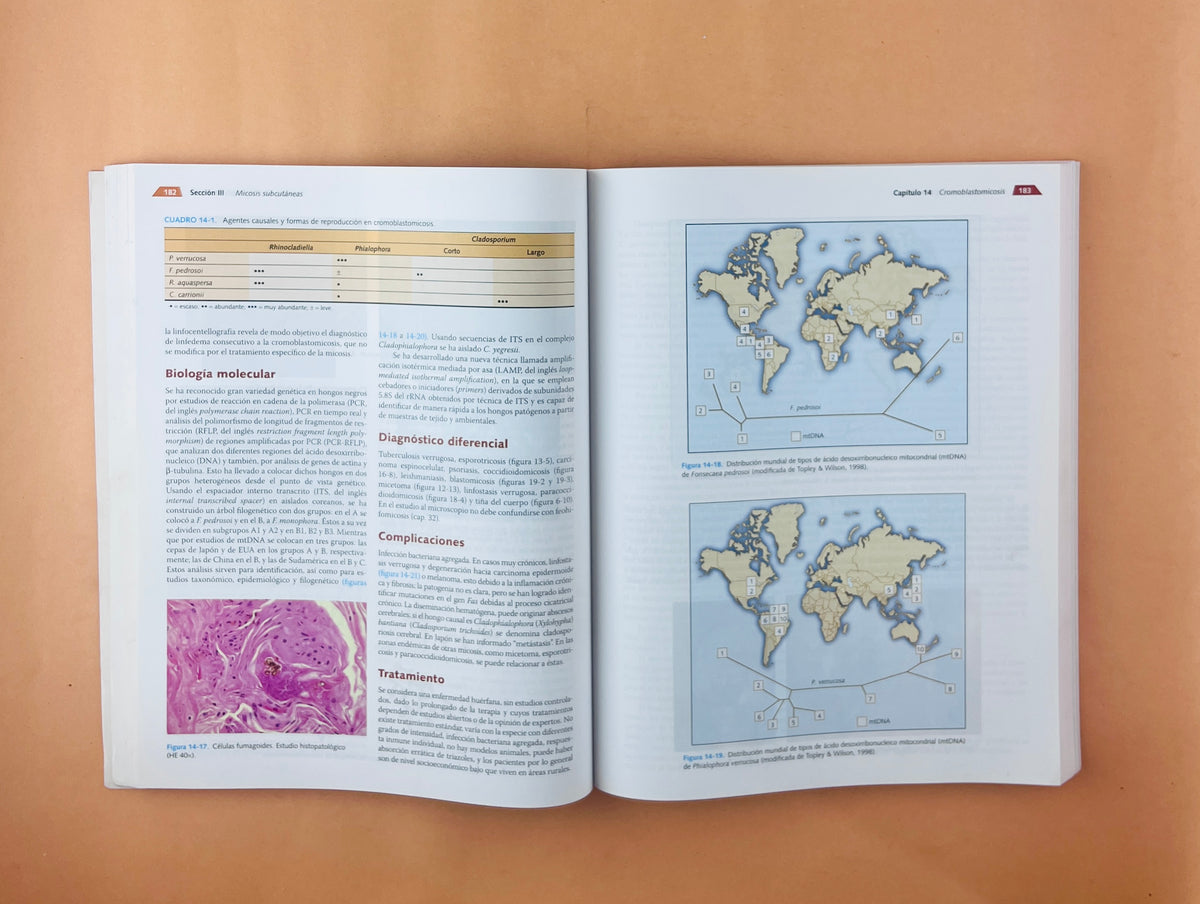 Micología médica ilustrada quinta edición by Roberto Arenas