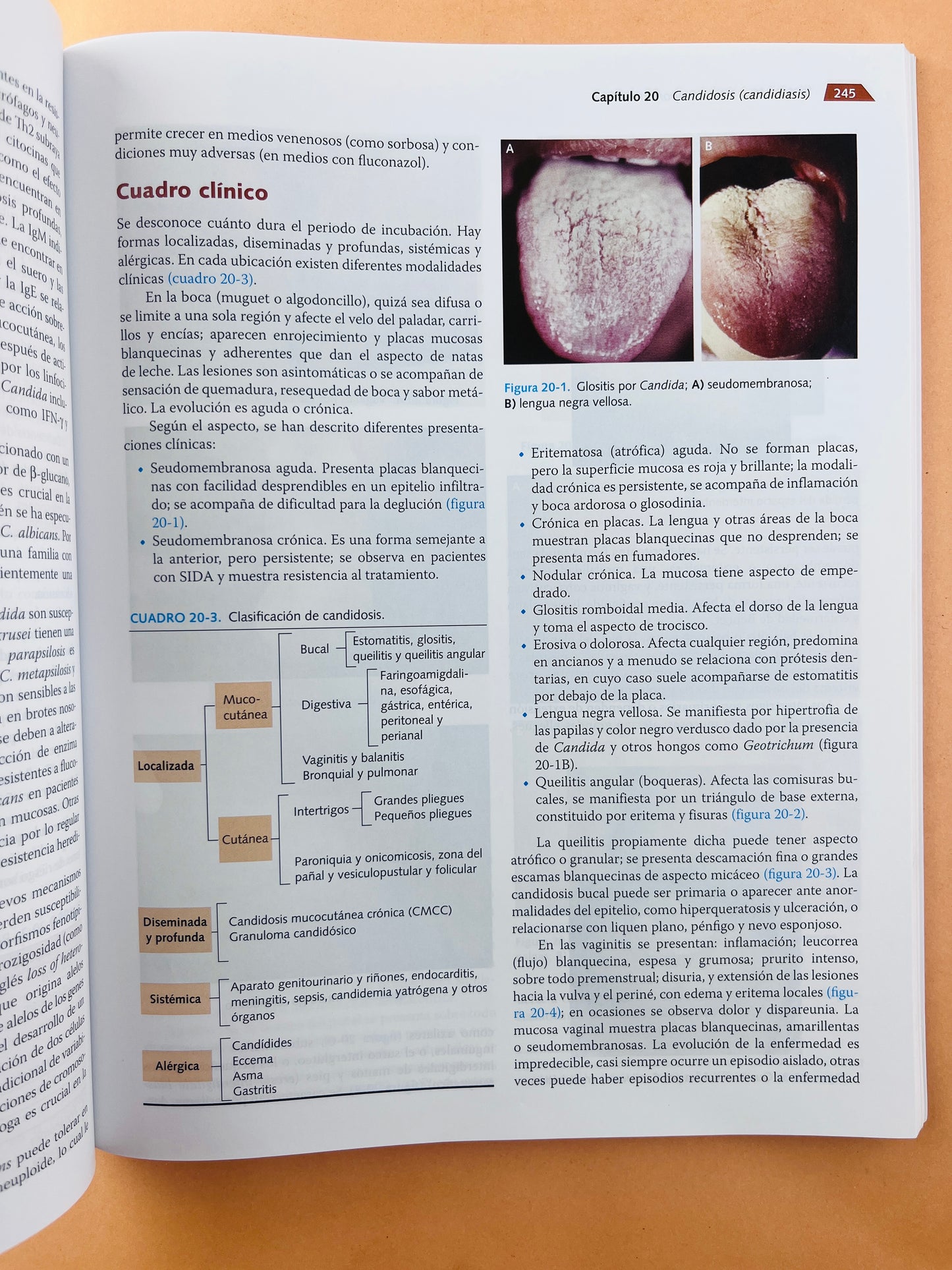 Micología médica ilustrada quinta edición