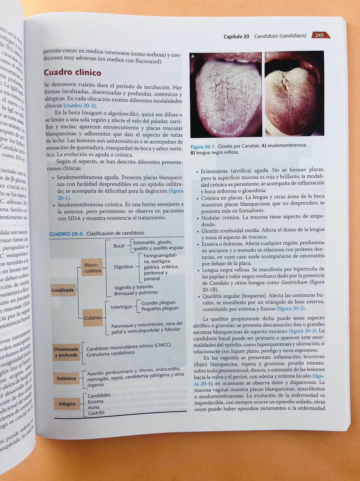 Micología médica ilustrada quinta edición by Roberto Arenas