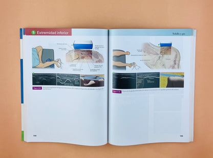 Fundamentos de anatomía por Ecografía