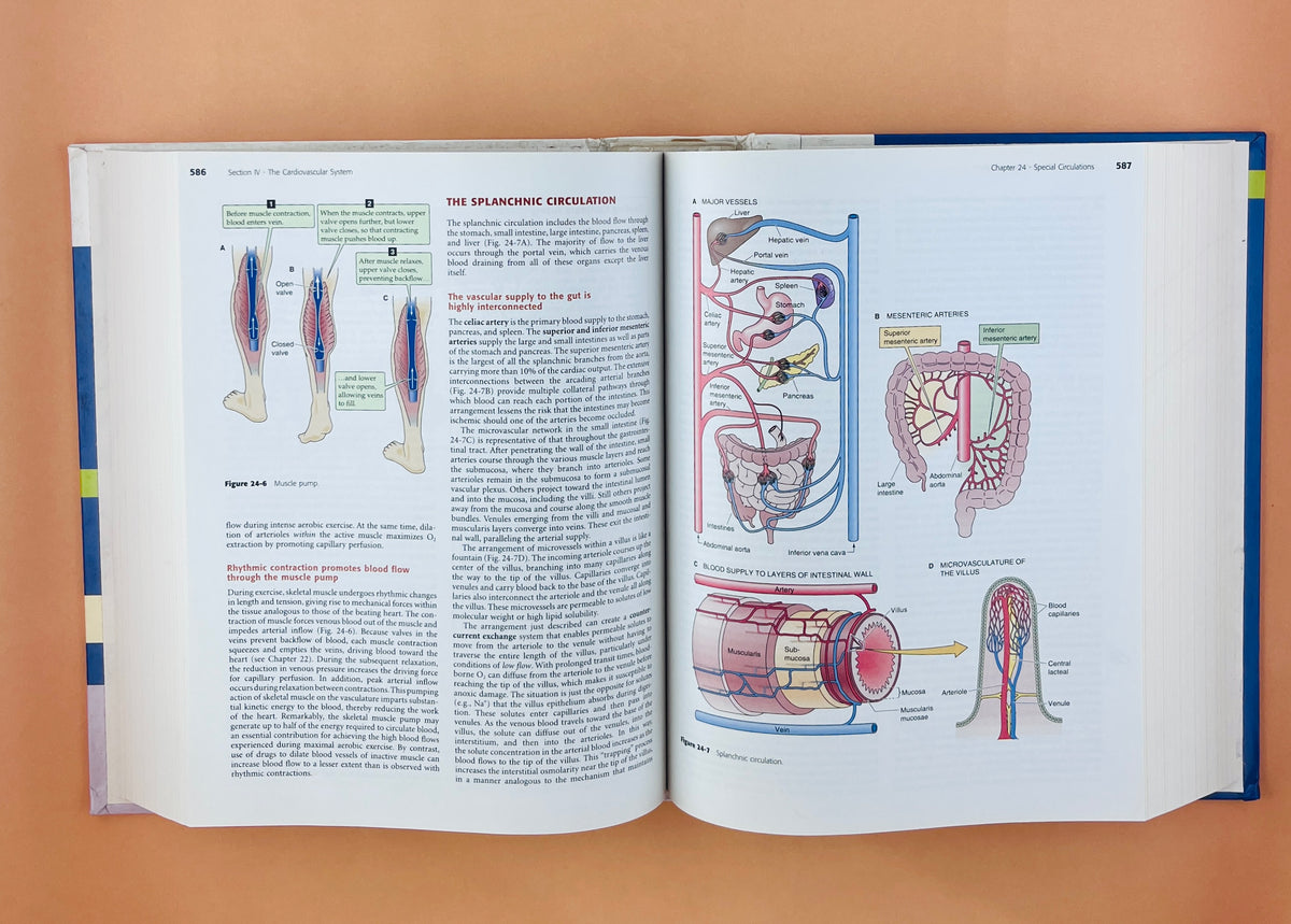 Medical Physiology second edition updated edition by Walter F. Born Emile L. Boulpaep
