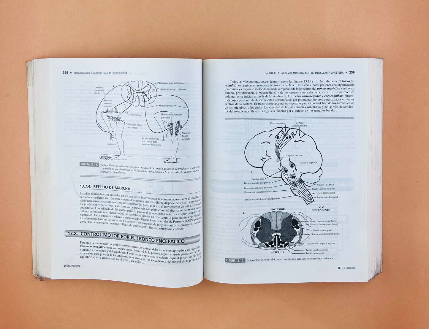 Fundamentos de fisiologia