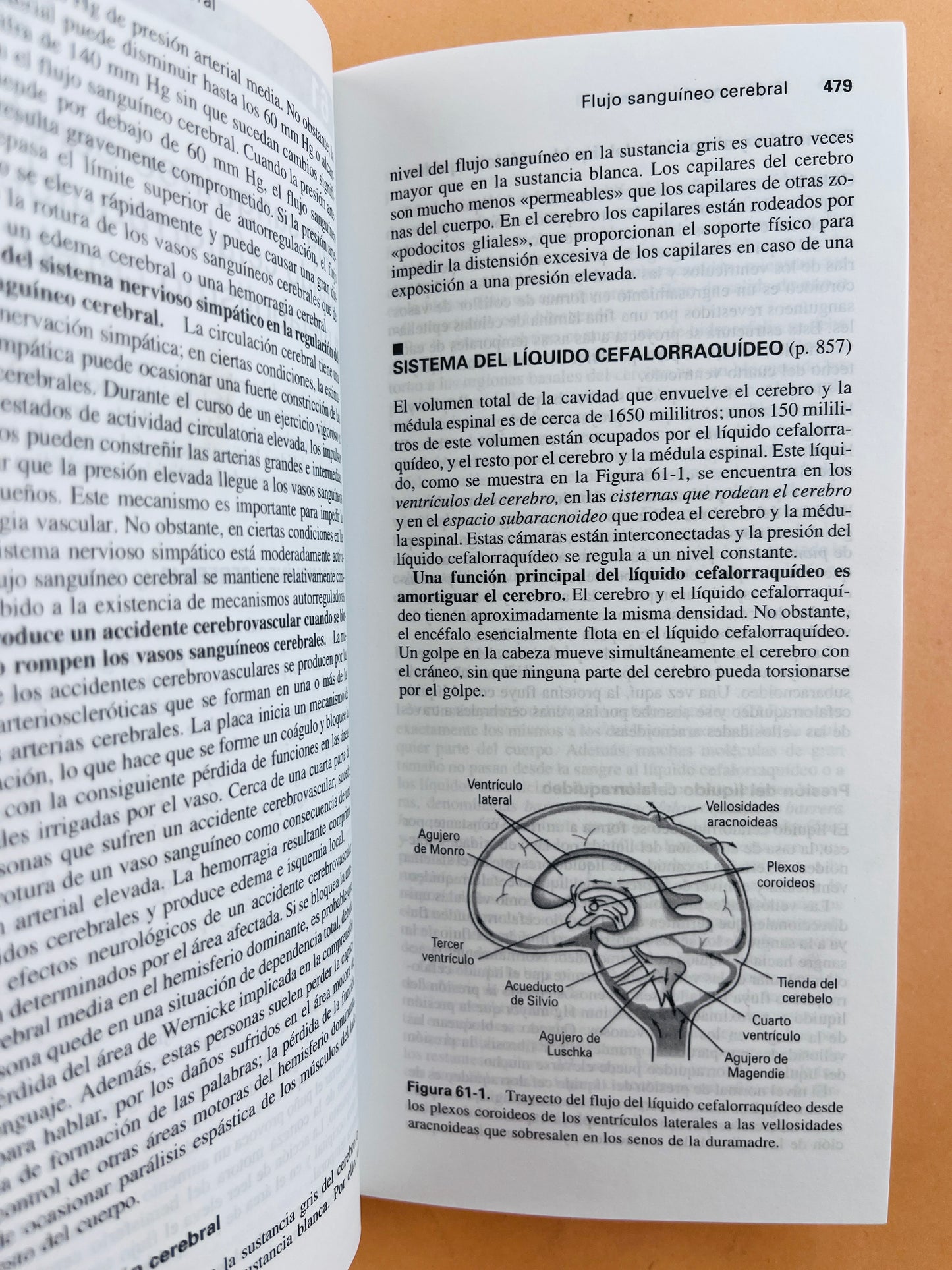 Manual de Fisiología Médica décima edición