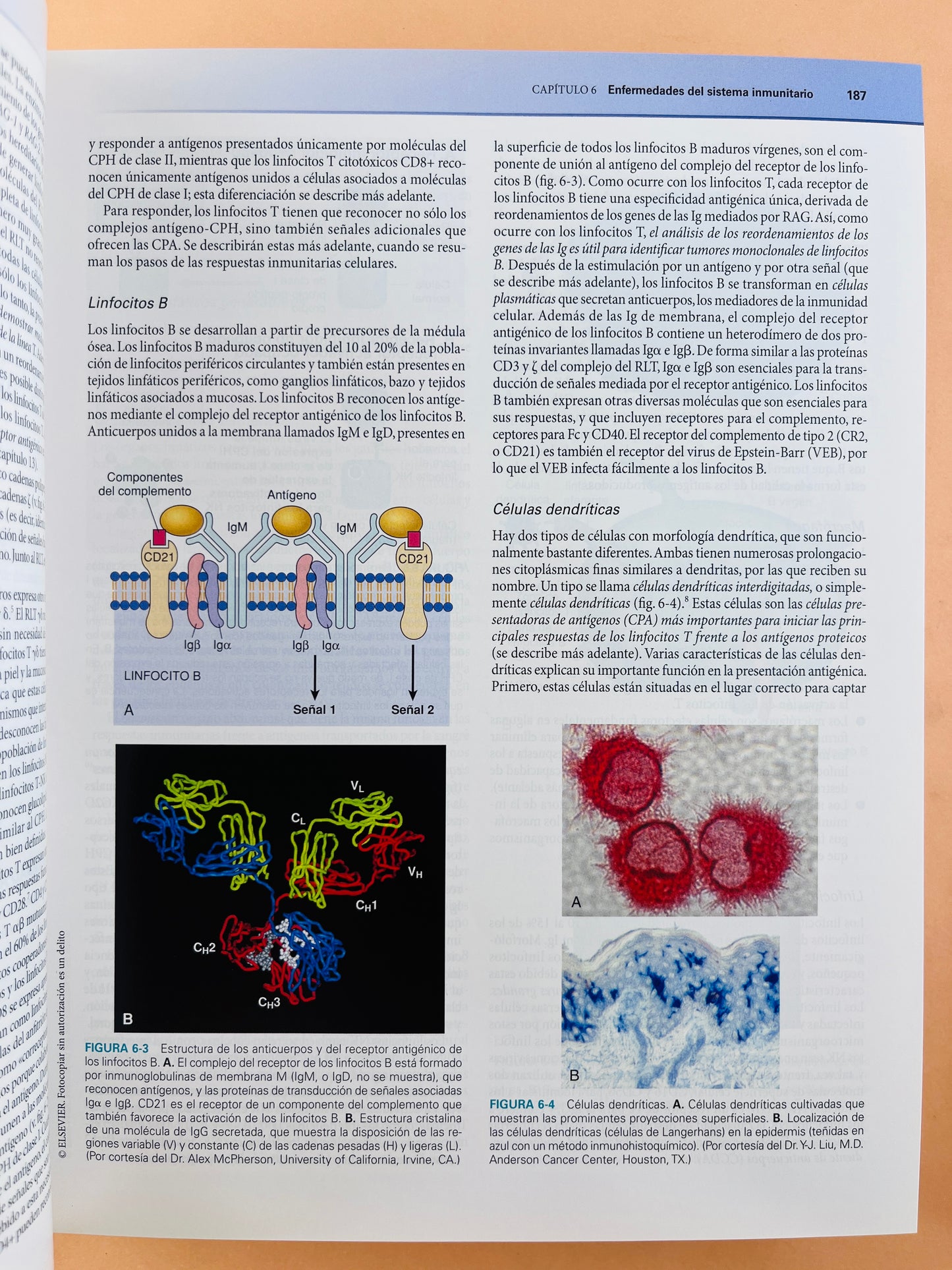 Robbins y Cotran Patología estructural y funcional Octava edición