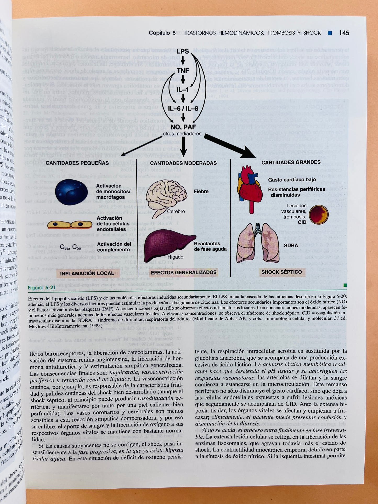 Robbins Patología estructural y funcional sexta edición
