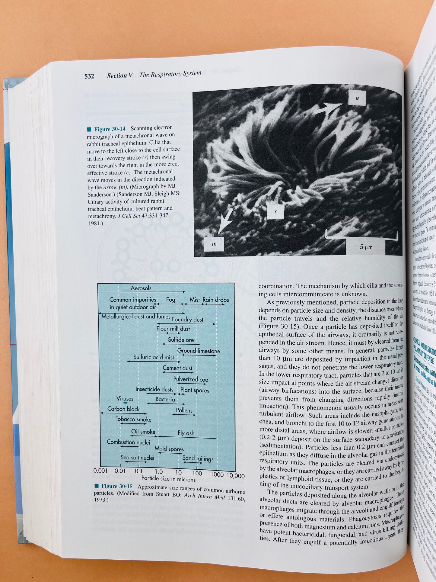 Physiology fifth edition