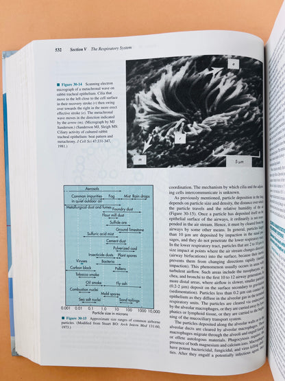 Physiology fifth edition