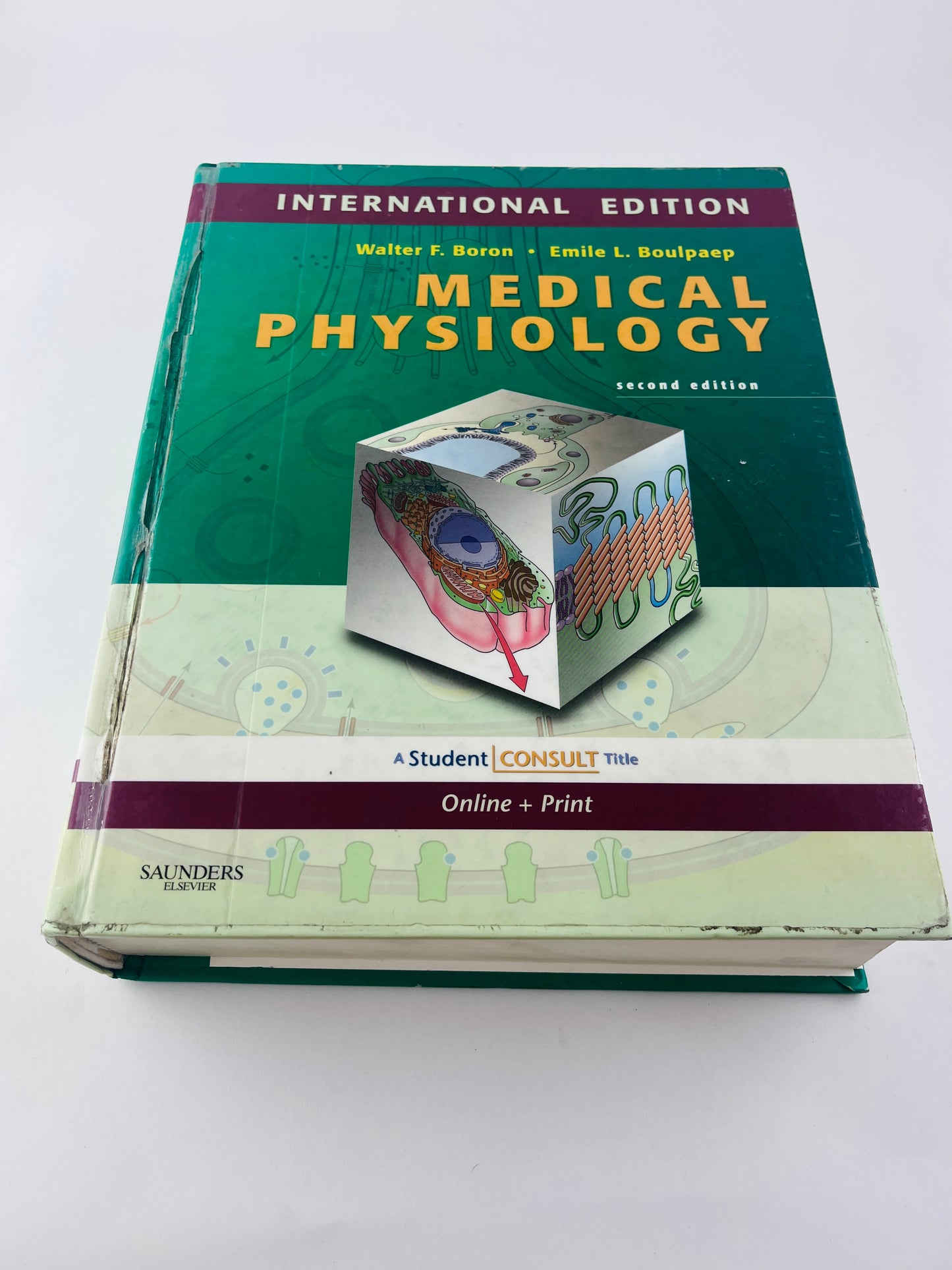 Medical physiology second edition