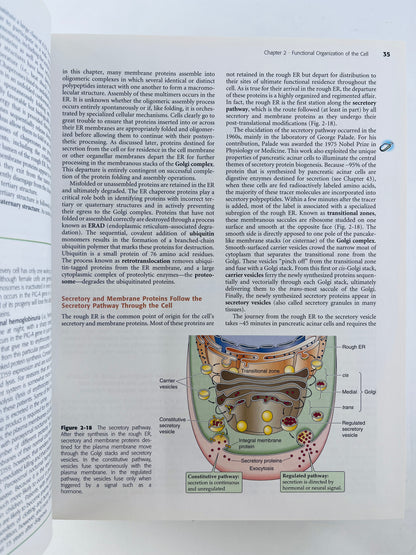Medical physiology second edition