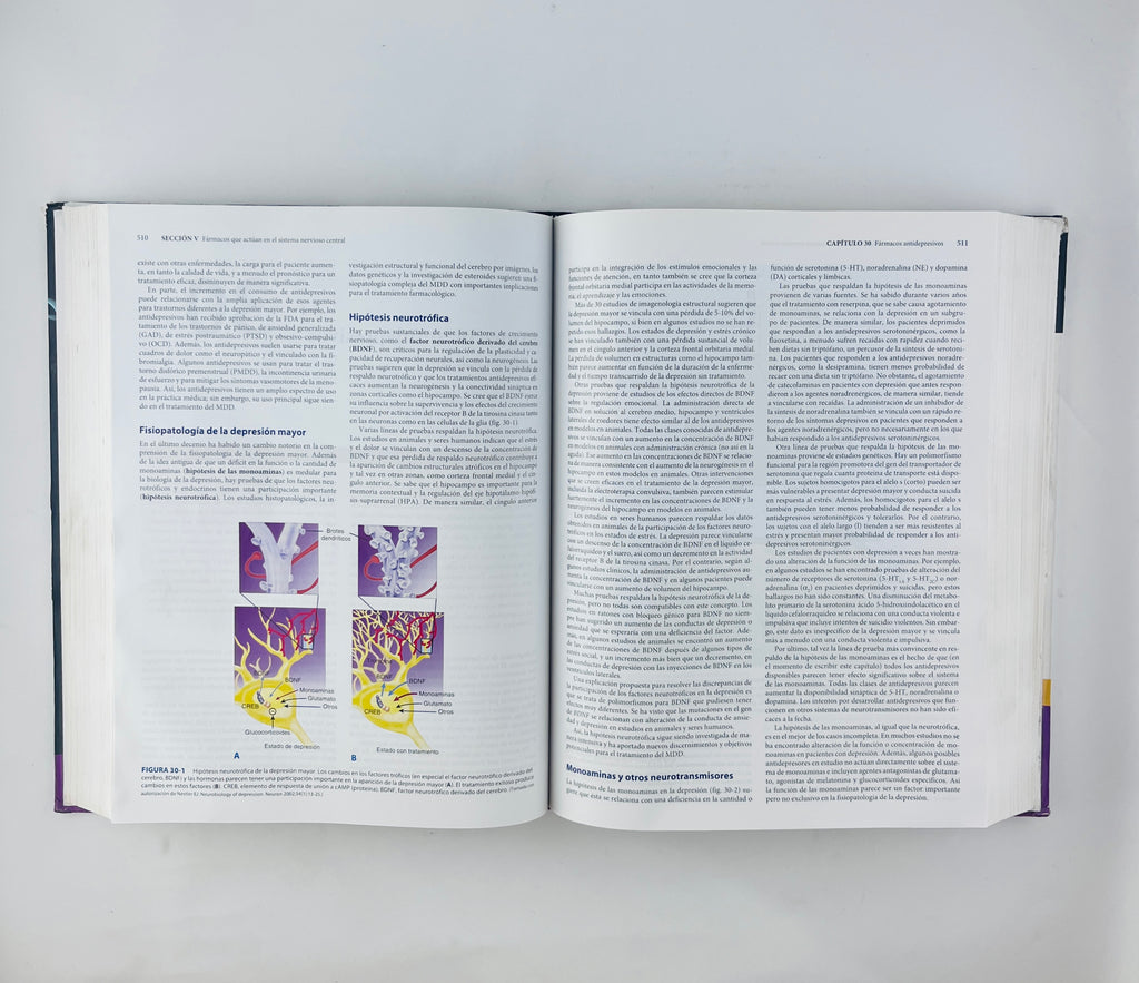 Farmacología Básica Y Clínica 11a. edición by Bertram G. katzung Suasan B. Masters Anthony J. Trevor