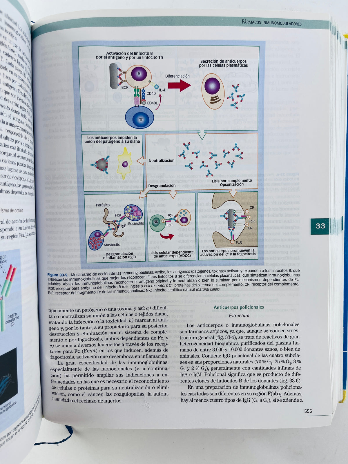 Velázquez Farmacología Básica Y Clínica 18a. edición by P.Lorenzo A. Moreno I. Lizasoain J.C. Leza M.A. Moro A. Portolés
