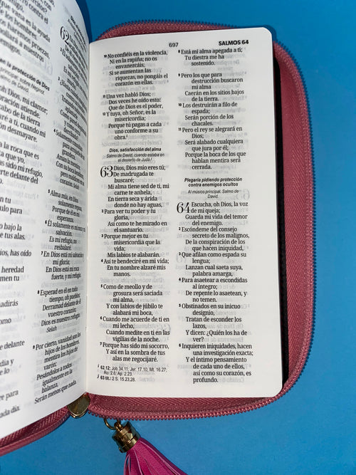 Biblia tipo chequera rvr 1960 con cierre sin índice fucsia-rosa by Reina Valera 1960