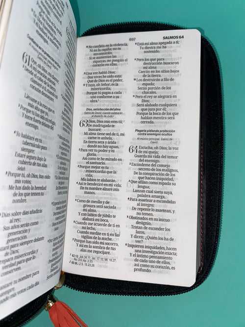 Biblia tipo chequera rvr 1960 con cierre sin índice coral-gris by Reina Valera 1960