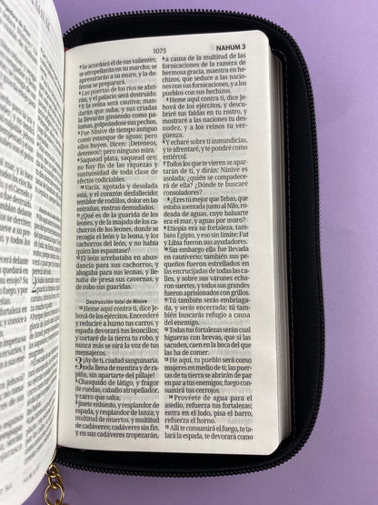 Biblia tipo chequera rvr 1960 con cierre sin índice lila - negro