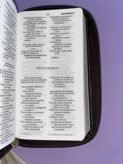 Biblia tipo chequera rvr 1960 con cierre sin índice café-crema