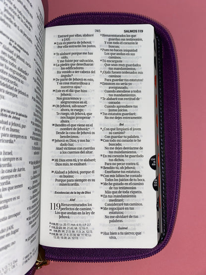 Biblia tipo chequera rvr 1960 con cierre e índice morado-lila-gris