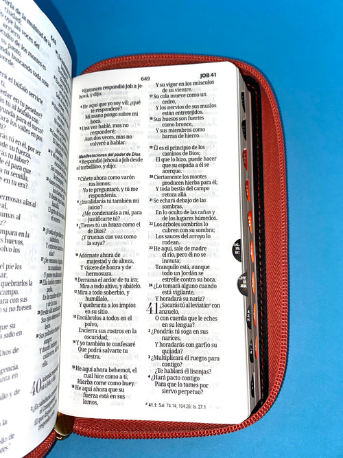 Biblia tipo chequera rvr 1960 con cierre e índice coral-beige by Reina Valera 1960