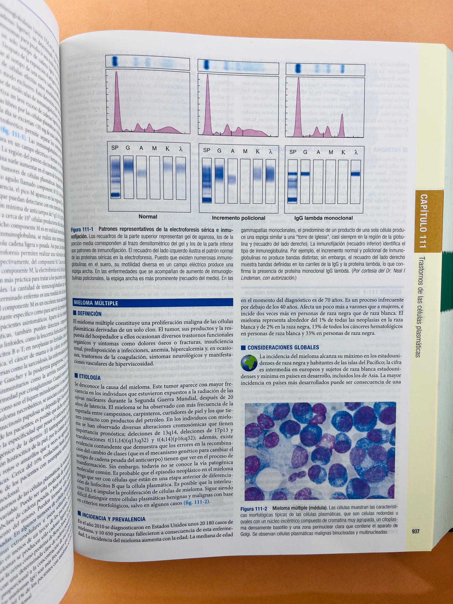 Harrison principios de Medicina Interna edición 18a 2 volúmenes