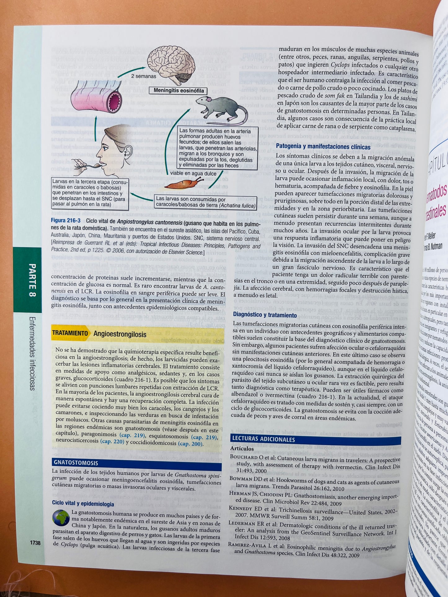 Harrison principios de Medicina Interna edición 18a 2 volúmenes
